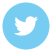 twitter-icon
