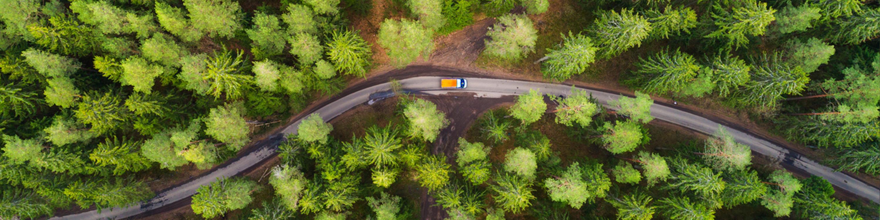 Green forest aerial drone view. Road with truck in forest from above. Transportation background.